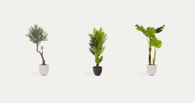 Moodboard déco plantes pour finaliser votre déco bohème